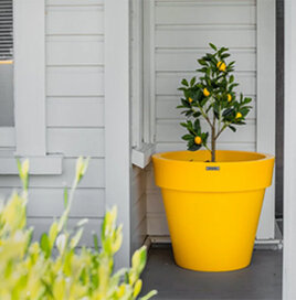Modscene Planters - coming soon...